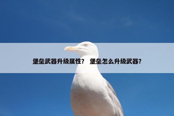 堡垒武器升级属性？ 堡垒怎么升级武器？