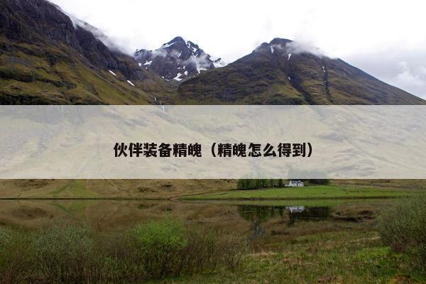 伙伴装备精魄（精魄怎么得到）