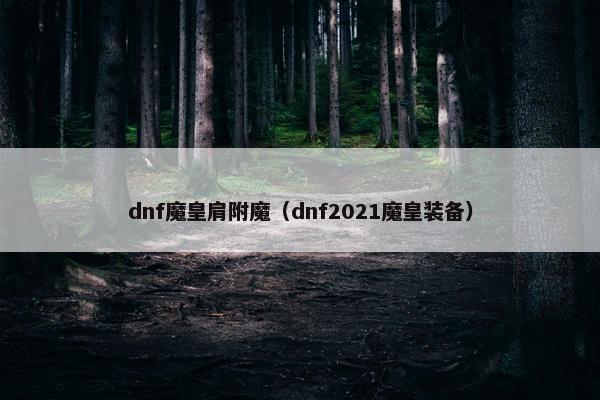 dnf魔皇肩附魔（dnf2021魔皇装备）