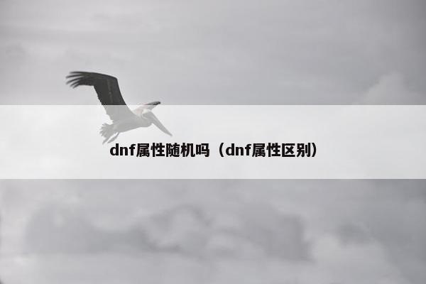 dnf属性随机吗（dnf属性区别）