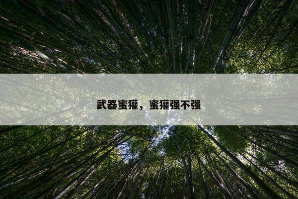 武器蜜獾，蜜獾强不强