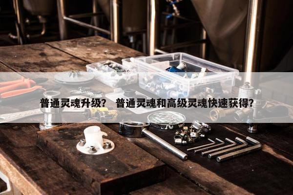 普通灵魂升级？ 普通灵魂和高级灵魂快速获得？