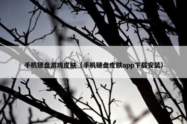 手机键盘游戏皮肤（手机键盘皮肤app下载安装）