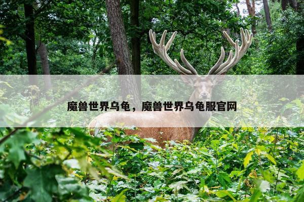 魔兽世界乌龟，魔兽世界乌龟服官网