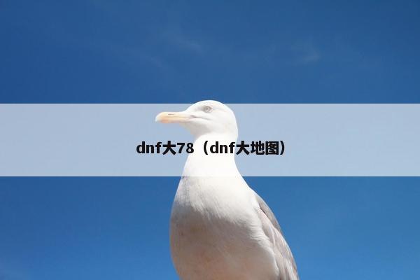 dnf大78（dnf大地图）