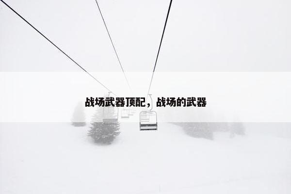 战场武器顶配，战场的武器