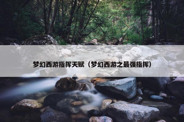 梦幻西游指挥天赋（梦幻西游之最强指挥）
