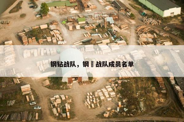 钢钻战队，钢镚战队成员名单