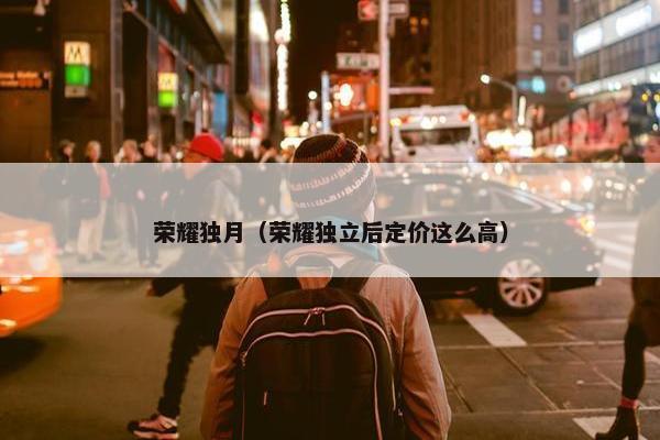 荣耀独月（荣耀独立后定价这么高）
