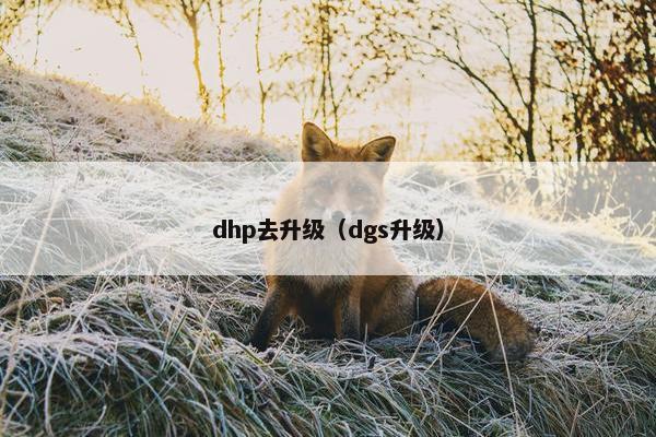 dhp去升级（dgs升级）
