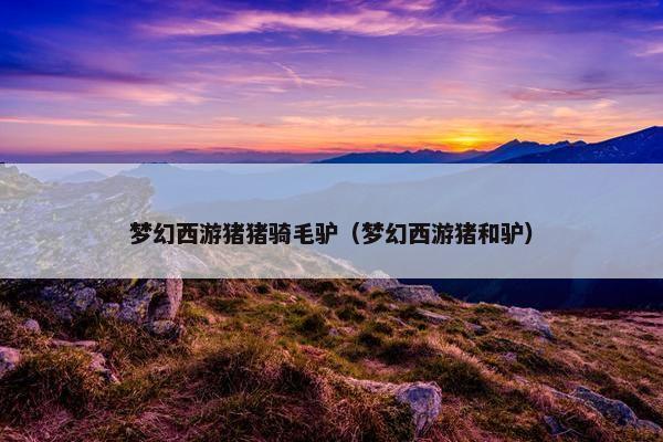 梦幻西游猪猪骑毛驴（梦幻西游猪和驴）