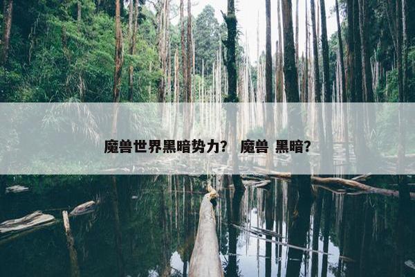魔兽世界黑暗势力？ 魔兽 黑暗？