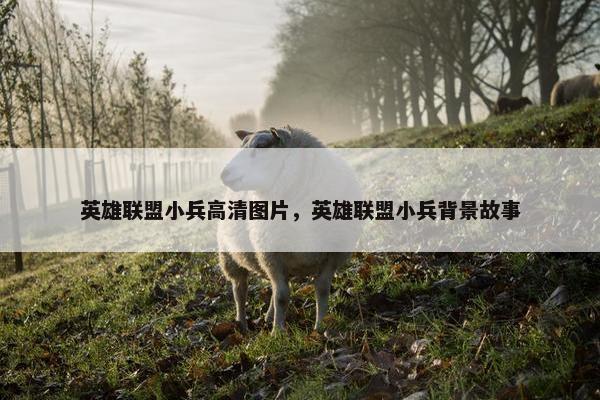 英雄联盟小兵高清图片，英雄联盟小兵背景故事
