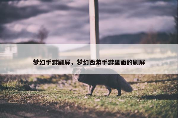 梦幻手游刷屏，梦幻西游手游里面的刷屏