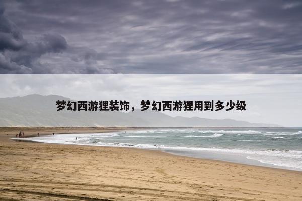 梦幻西游狸装饰，梦幻西游狸用到多少级