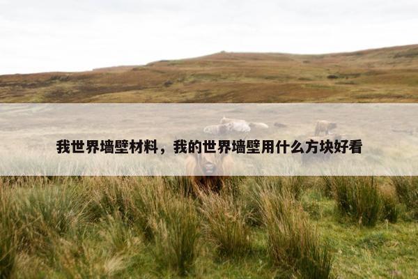 我世界墙壁材料，我的世界墙壁用什么方块好看