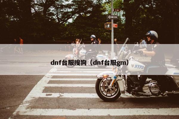 dnf台服搜狗（dnf台服gm）