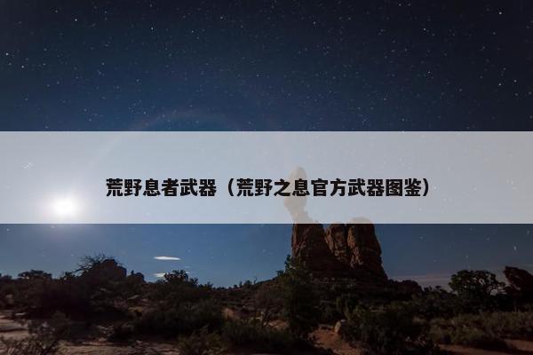 荒野息者武器（荒野之息官方武器图鉴）