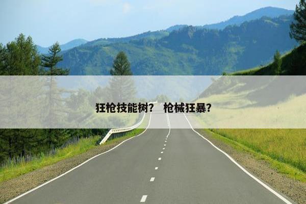 狂枪技能树？ 枪械狂暴？