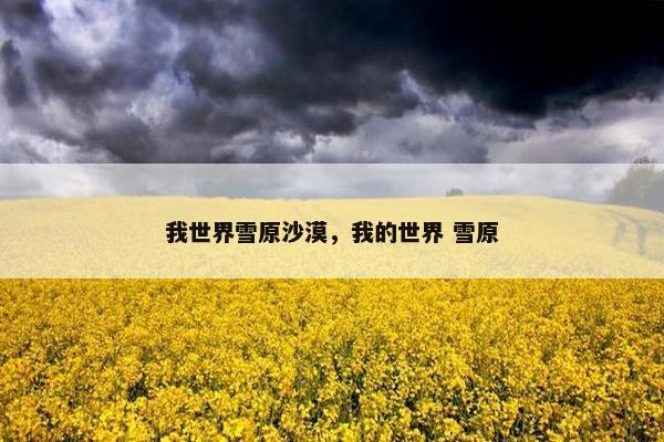 我世界雪原沙漠，我的世界 雪原