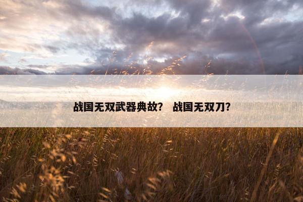 战国无双武器典故？ 战国无双刀？