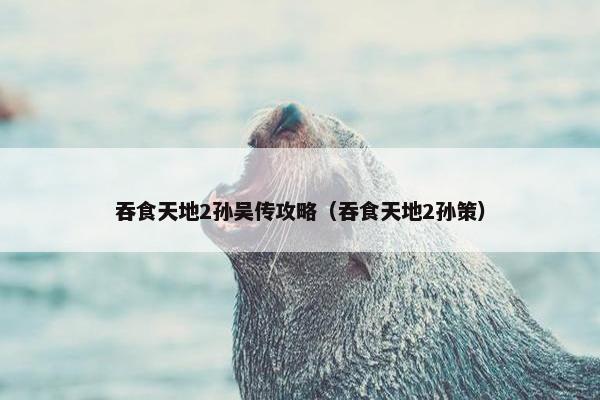 吞食天地2孙吴传攻略（吞食天地2孙策）