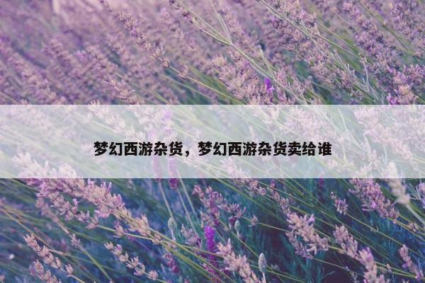 梦幻西游杂货，梦幻西游杂货卖给谁