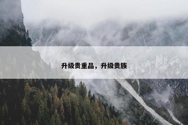 升级贵重品，升级贵族