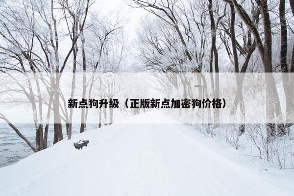 新点狗升级（正版新点加密狗价格）
