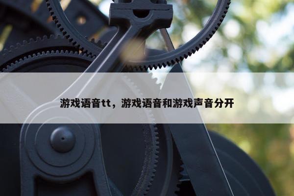 游戏语音tt，游戏语音和游戏声音分开