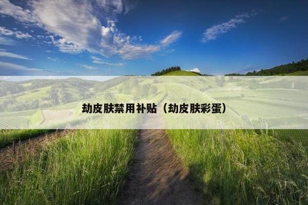 劫皮肤禁用补贴(劫皮肤彩蛋) 劫皮肤禁用补贴(劫皮肤彩蛋)