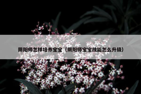 阴阳师怎样培养宝宝（阴阳师宝宝技能怎么升级）