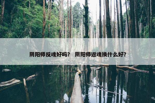 阴阳师反魂好吗？ 阴阳师返魂换什么好？