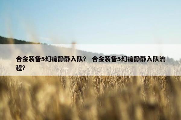 合金装备5幻痛静静入队？ 合金装备5幻痛静静入队流程？