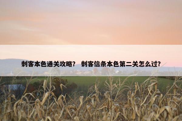 刺客本色通关攻略？ 刺客信条本色第二关怎么过？