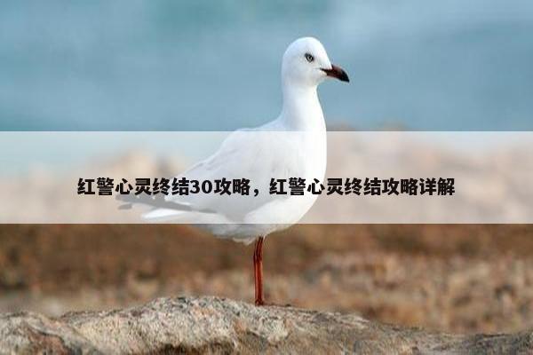 红警心灵终结30攻略，红警心灵终结攻略详解