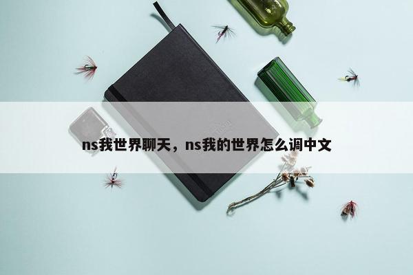 ns我世界聊天，ns我的世界怎么调中文
