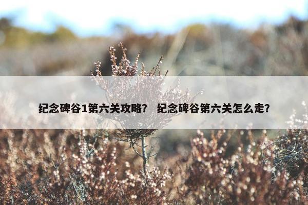 纪念碑谷1第六关攻略？ 纪念碑谷第六关怎么走？