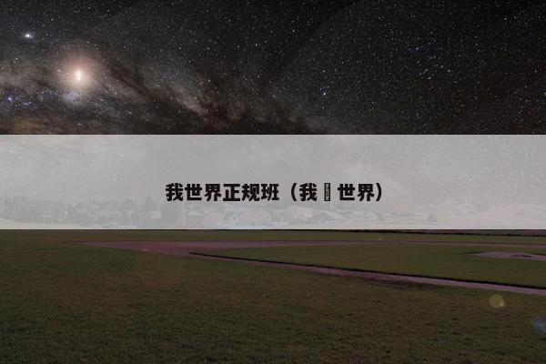我世界正规班（我旳世界）
