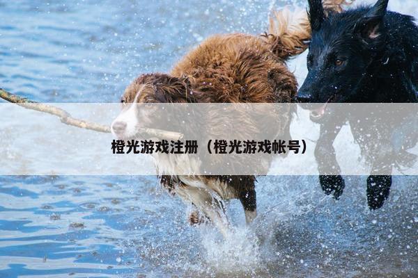 橙光游戏注册（橙光游戏帐号）
