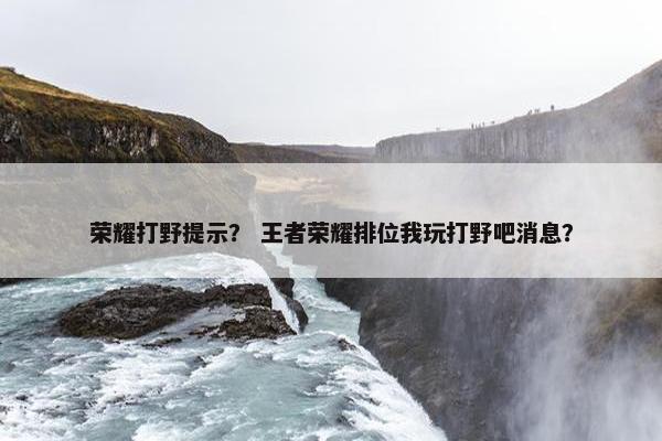 荣耀打野提示？ 王者荣耀排位我玩打野吧消息？
