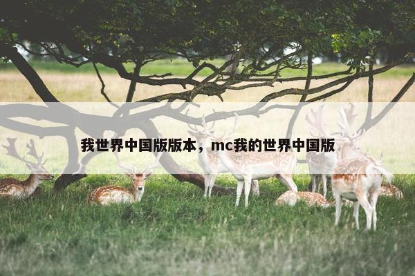 我世界中国版版本，mc我的世界中国版