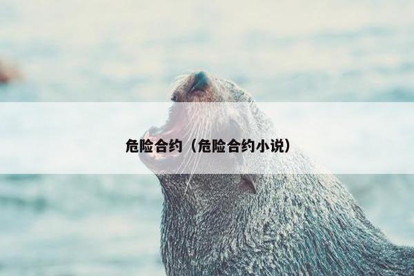 危险合约（危险合约小说）