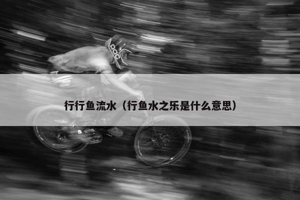 行行鱼流水（行鱼水之乐是什么意思）