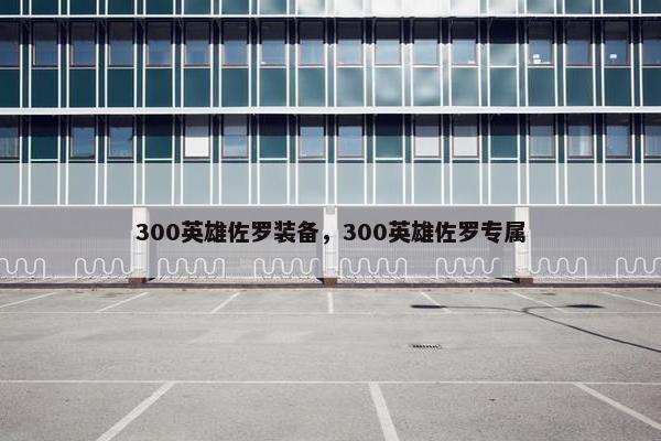 300英雄佐罗装备，300英雄佐罗专属