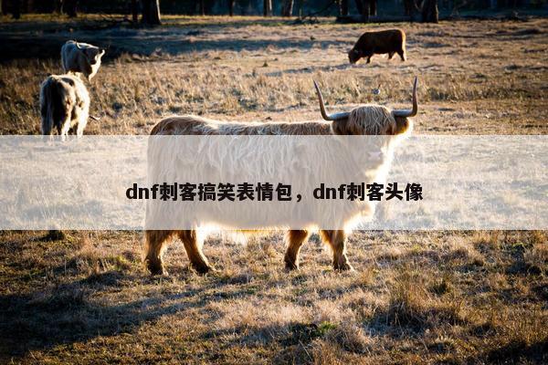 dnf刺客搞笑表情包，dnf刺客头像