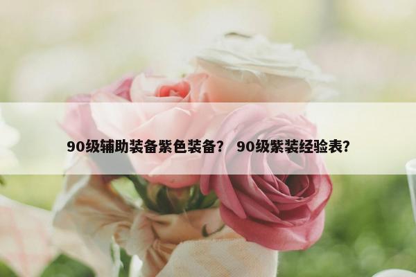 90级辅助装备紫色装备？ 90级紫装经验表？