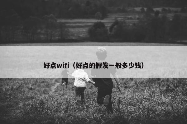 好点wifi（好点的假发一般多少钱）