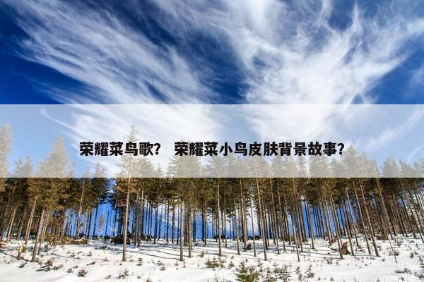 荣耀菜鸟歌？ 荣耀菜小鸟皮肤背景故事？