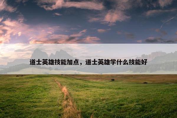 道士英雄技能加点，道士英雄学什么技能好